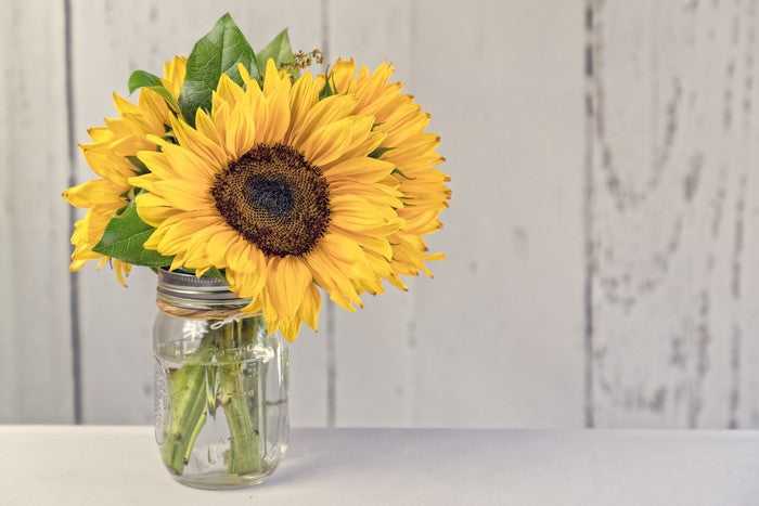 Sunflower simplicity