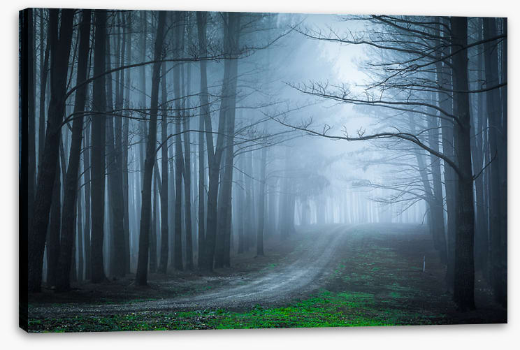 Black forest bend