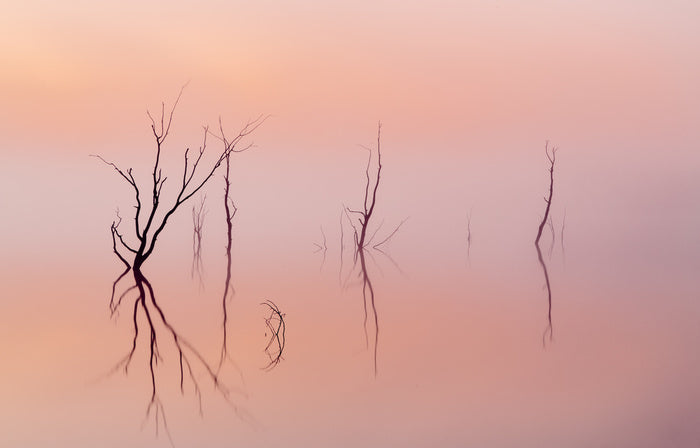 Lakes