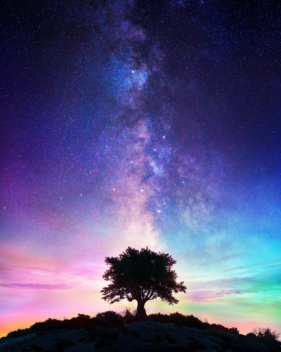 Life on earth