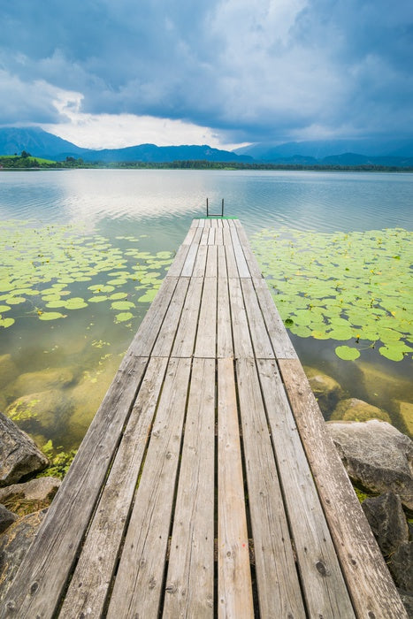 Pier over the pond