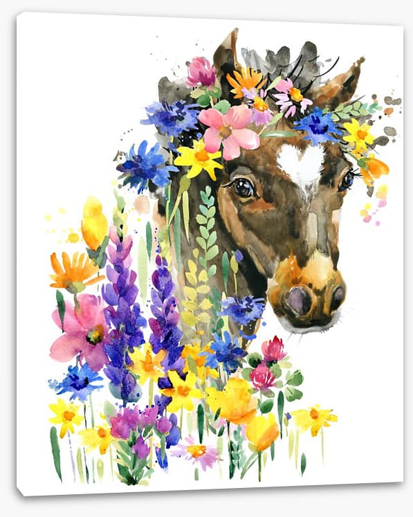 Wildflower pony