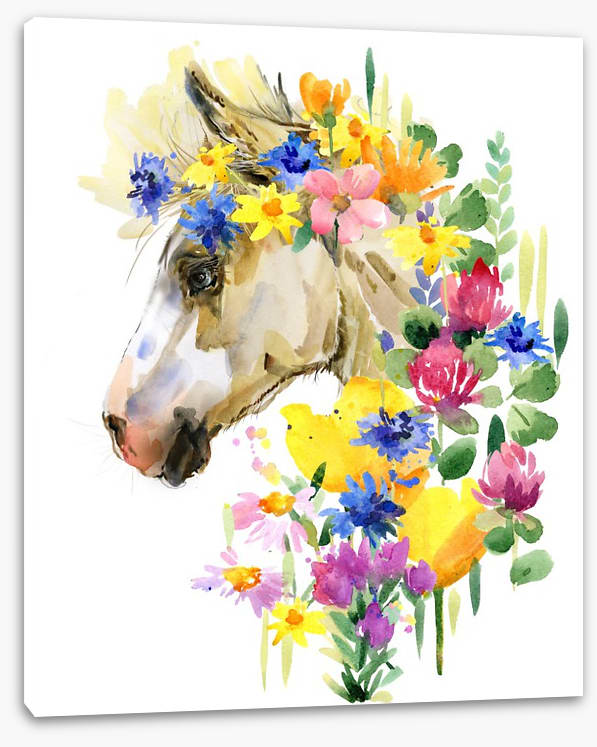 Spring steed