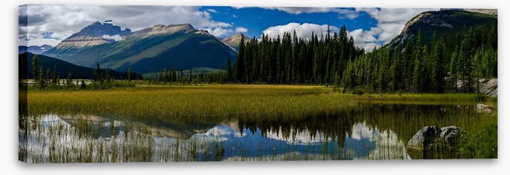 North America