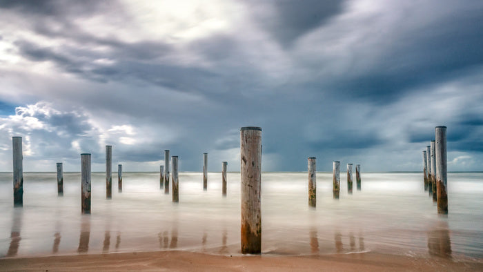Stumped by nature