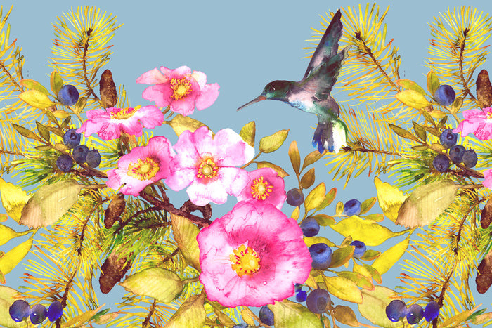 Wild rose hummingbird
