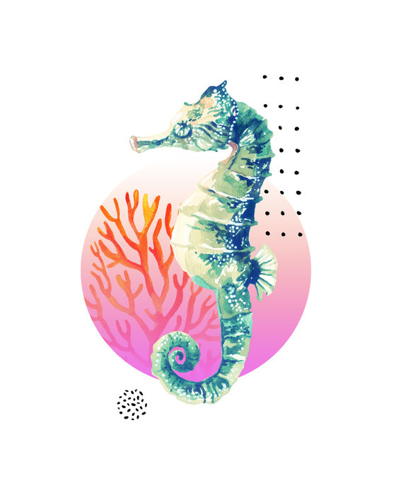 Setting sun seahorse