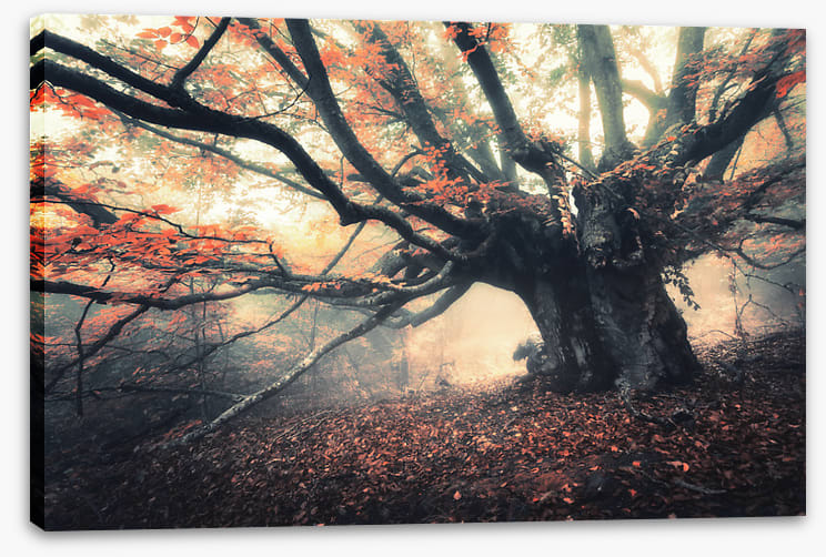 Aethereal autumn glow