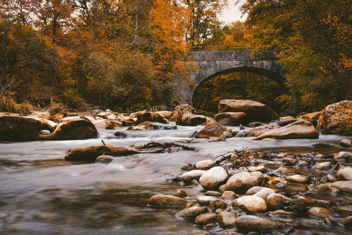 Rivers