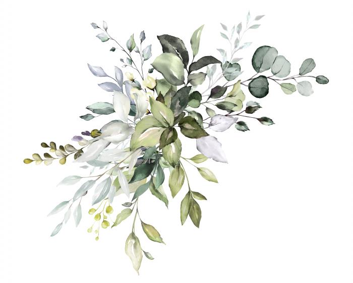 Soft Eucalypt