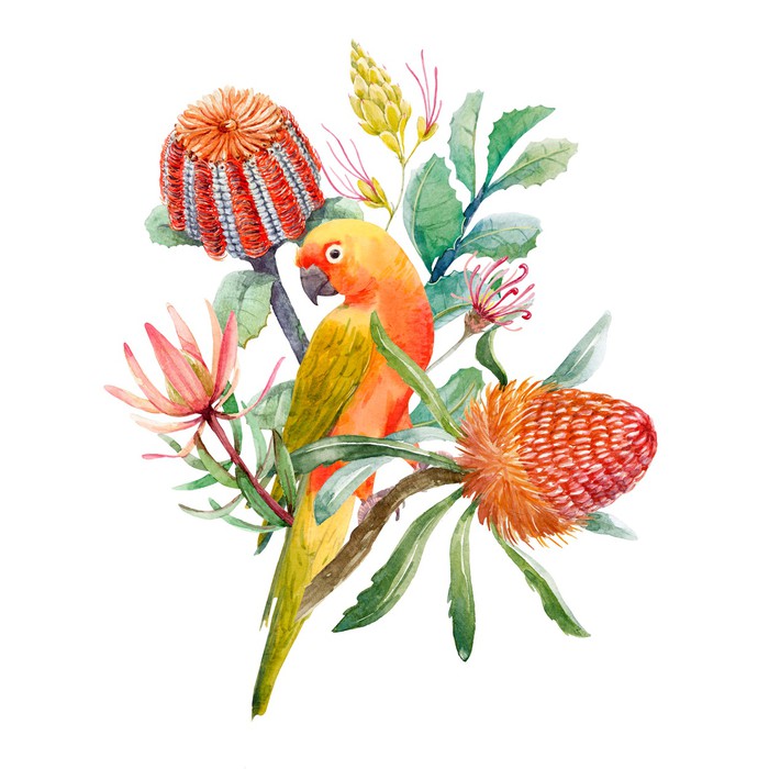 King parrot perch