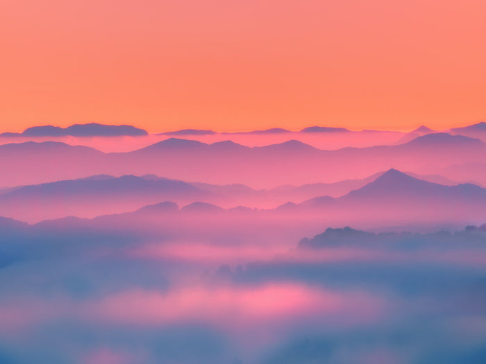 Sunsets / Rises