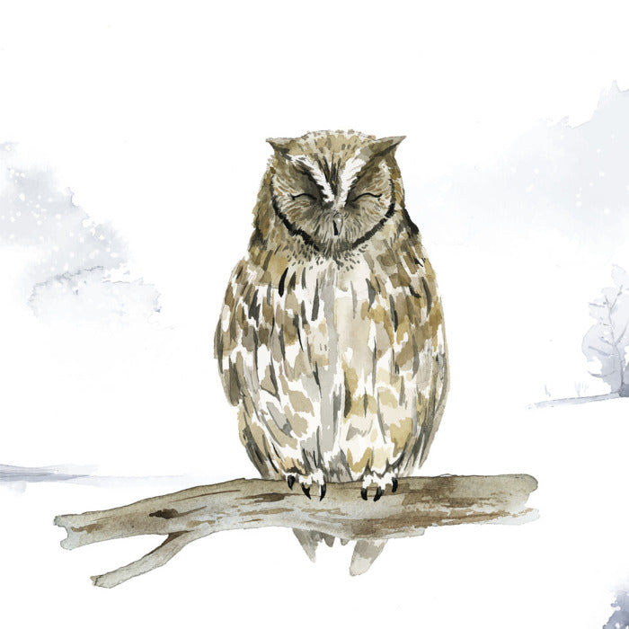 Sleepy in the snow