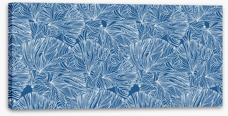 Calm in the coral