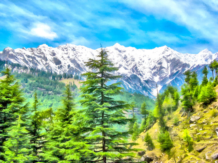 Mountainside pine