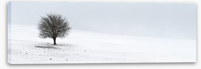 Solo in the snow