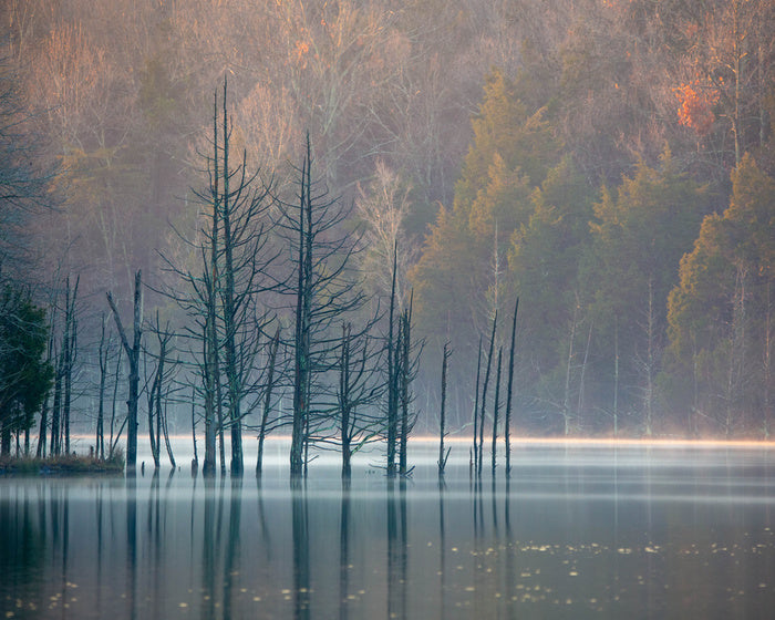 Lakes