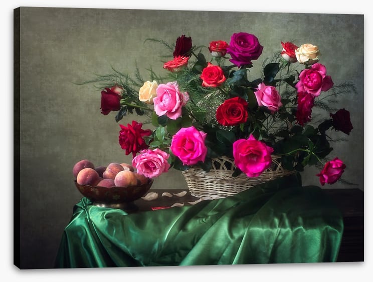 Garden rose grandeur