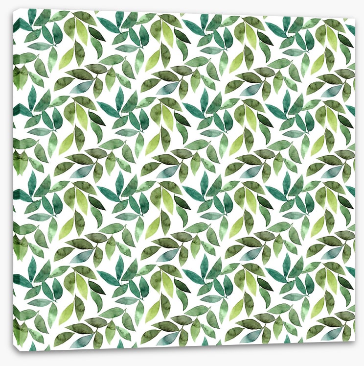 Leaf
