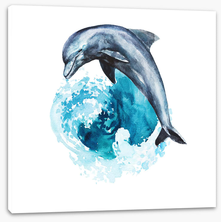 Dolphin wave