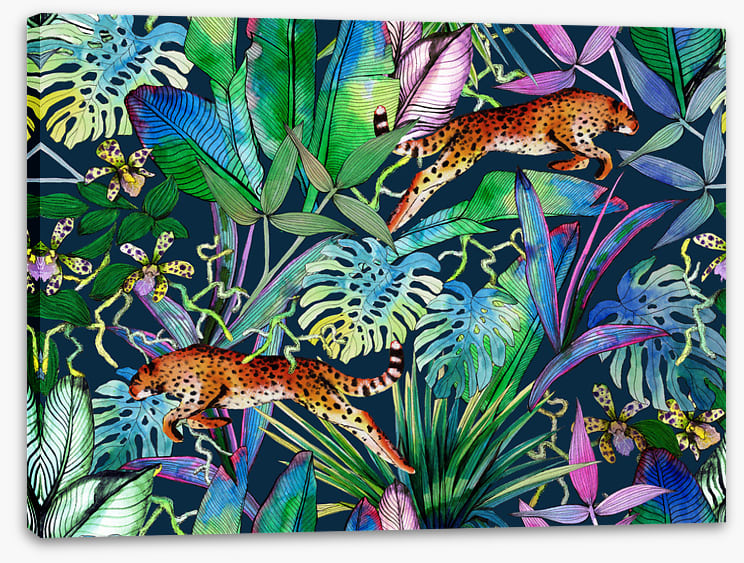 The jungle leopards