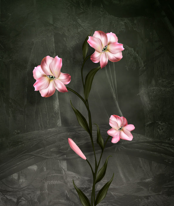 Peeping petals
