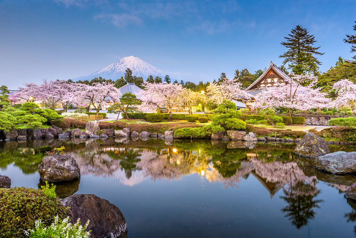 Shizuoka spring