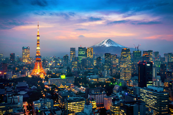 Tokyo twilight