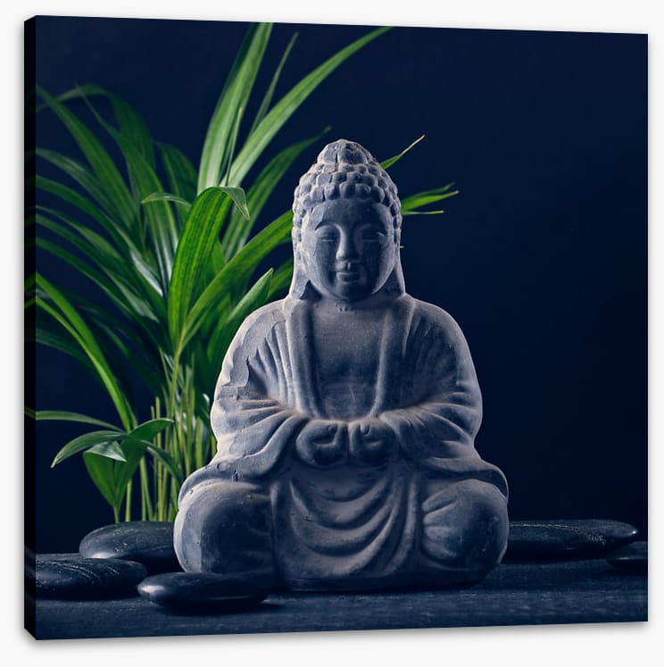 Midnight meditation