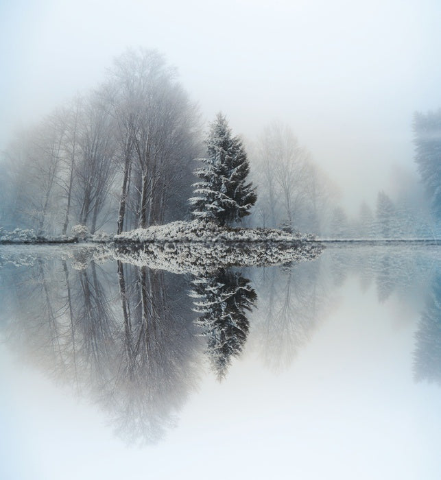 Mirror lake fir
