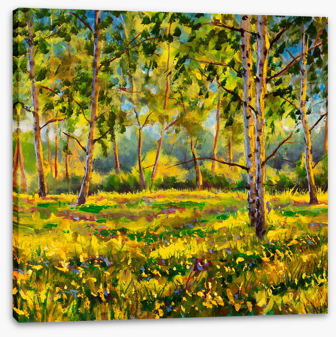 Among the gum trees