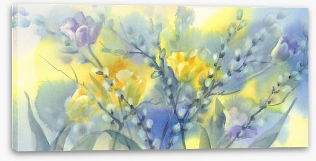 Pussy willow splash