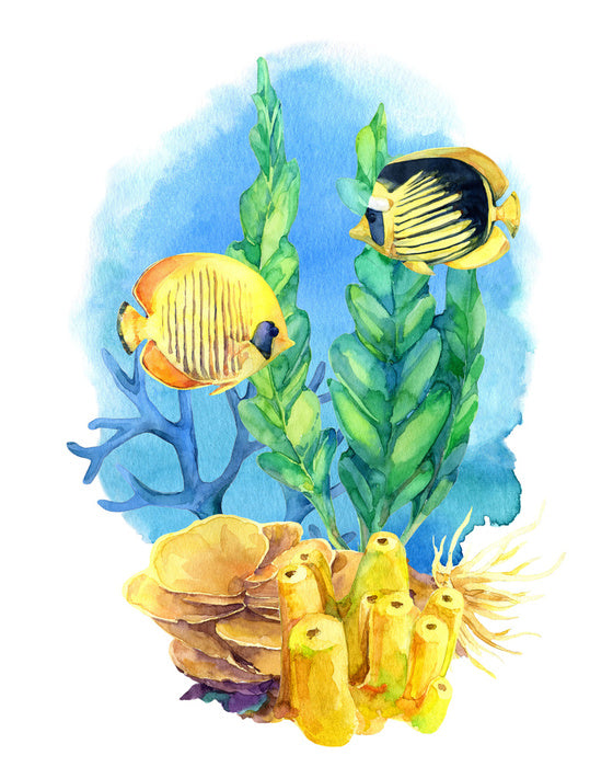 Coral camouflage II
