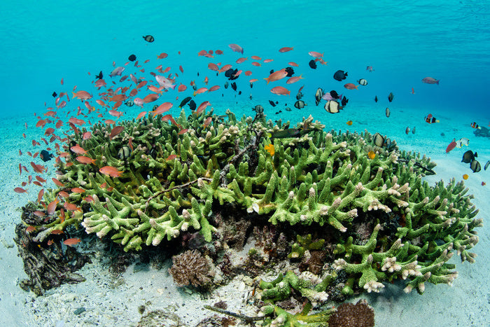 Underwater