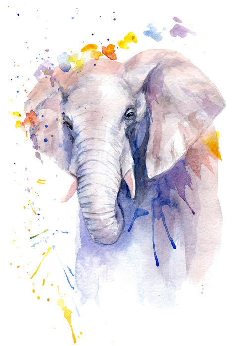 Elephant aura