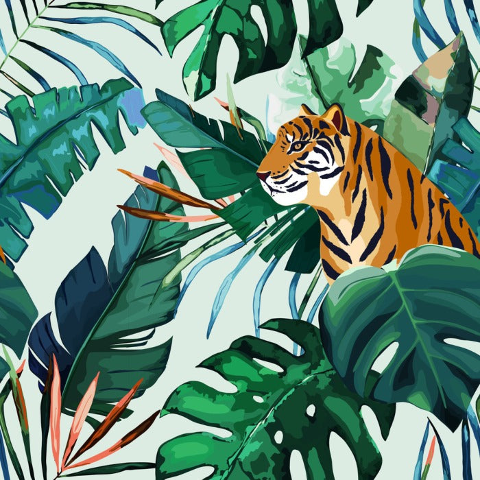 Animals