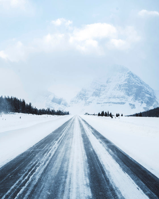 To the snow