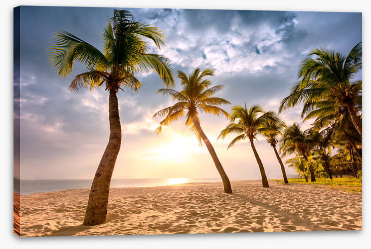 Coconut sunrise