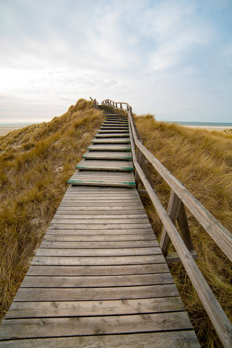 Jetty