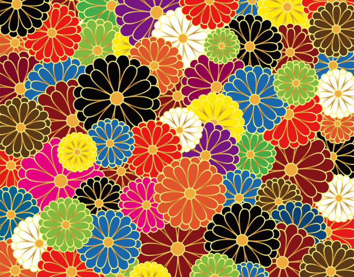 Chrysanthemum craze