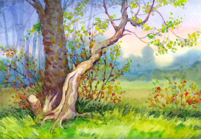 Delicate dawn