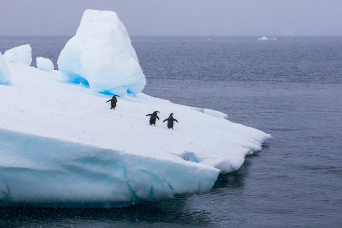 Glaciers