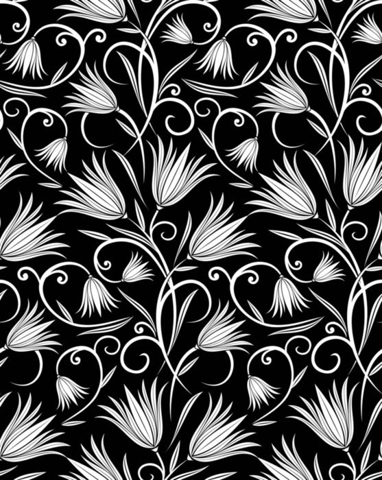 Black and White