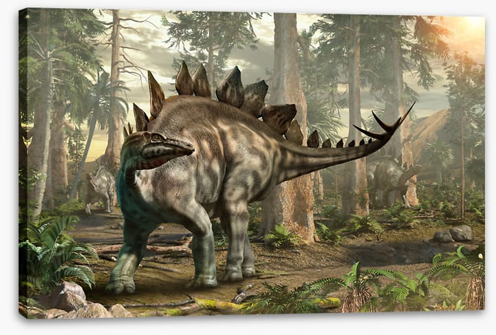 Stegosaurus scout