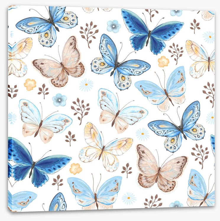 Butterfly bliss