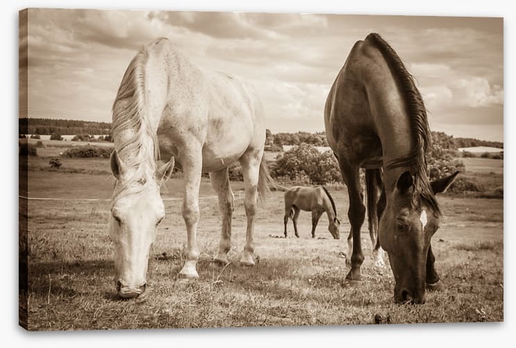 Graceful grazing