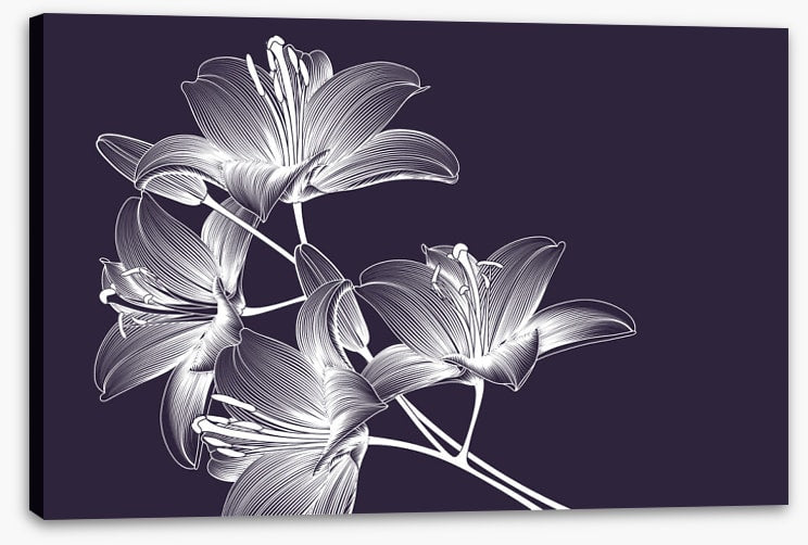 Moonlight lilies