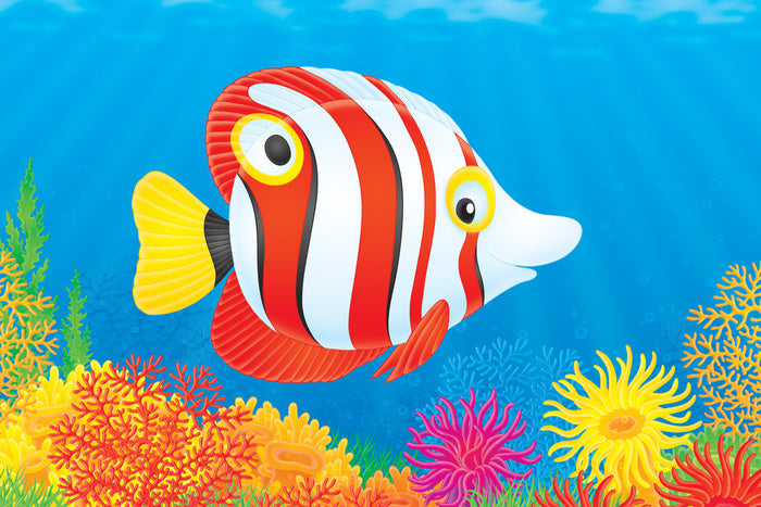 Under The Sea