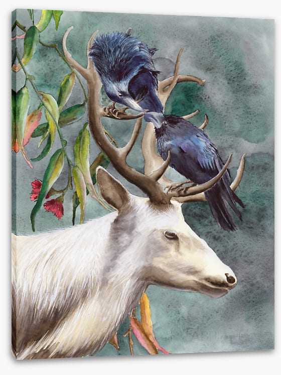 Animals