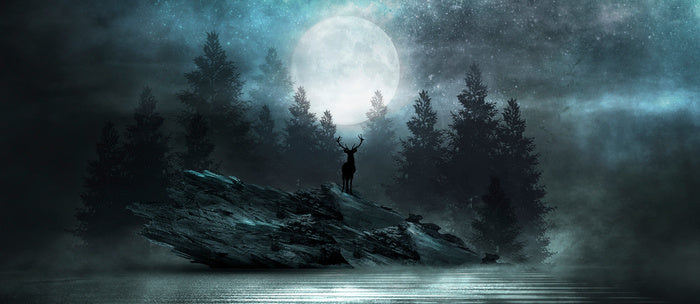 Below the moon glow